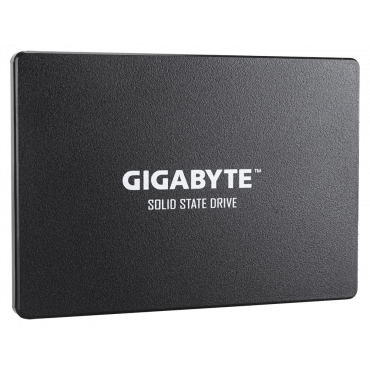 Накопитель SSD 256Gb [Gigabyte SSD GP-GSTFS31256GTND