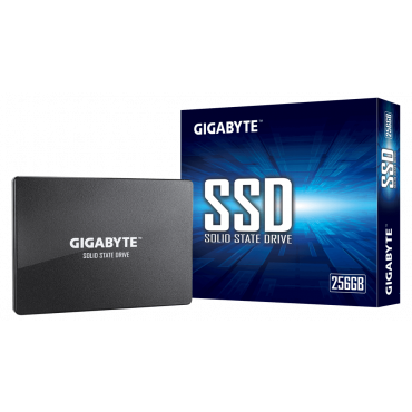 Накопитель SSD 256Gb [Gigabyte SSD GP-GSTFS31256GTND